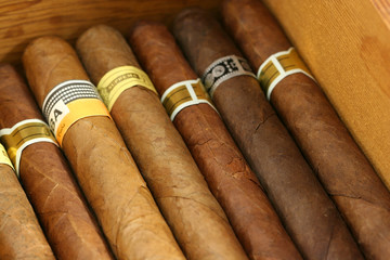 image-1011973-001_CIGAR-45c48.jpg